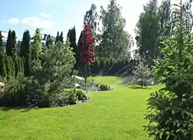 заказ озеленения и ландшафтного дизайна участка